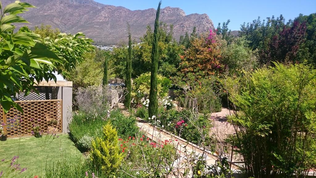 Abigail'S Garden Cottage Монтегю Экстерьер фото