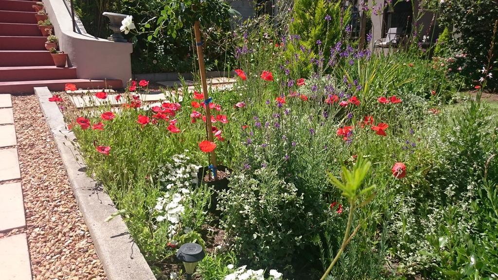 Abigail'S Garden Cottage Монтегю Экстерьер фото