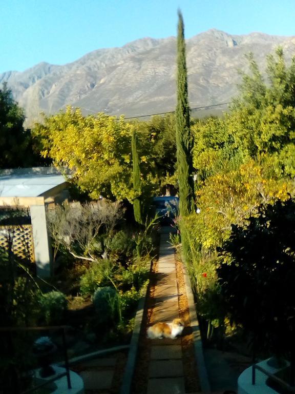 Abigail'S Garden Cottage Монтегю Экстерьер фото